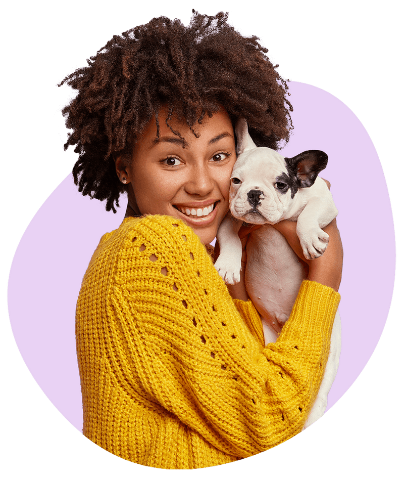 Expert Pet Grooming and Boarding in San Antonio, TX Pet Bath and Beyond